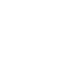 Hire Hybrid Developers