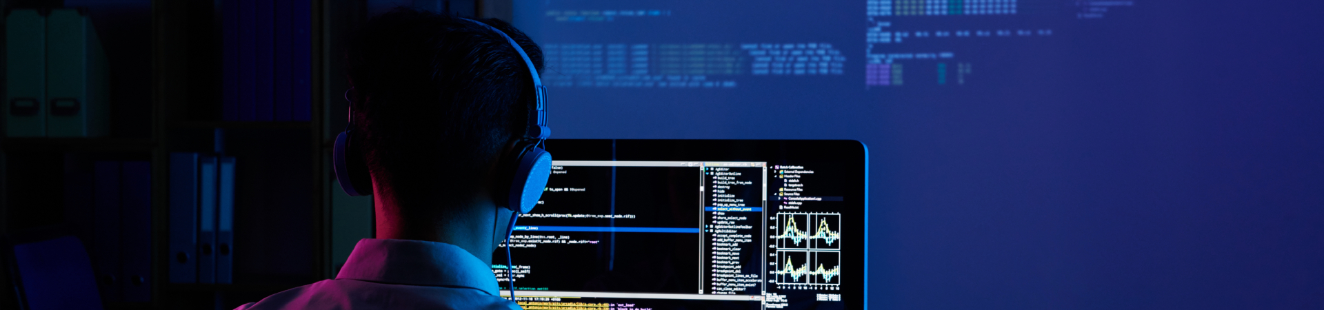 Web Design & Development Services