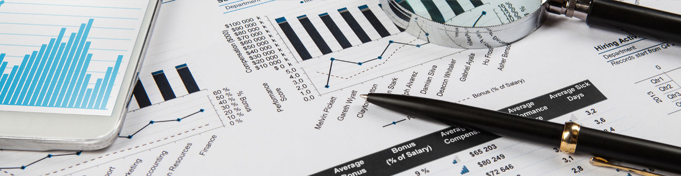 Accounting Software Services