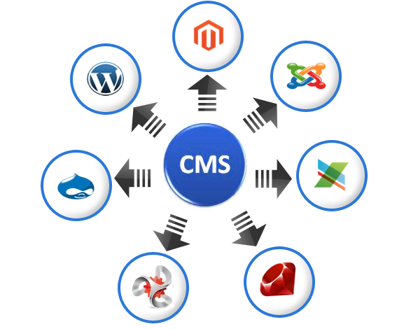 CMS Development - WN Infotech