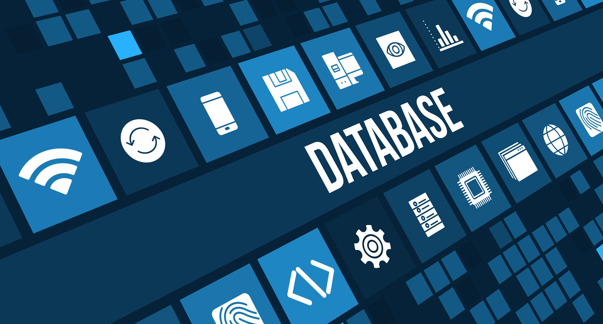 Database Services - WN Infotech